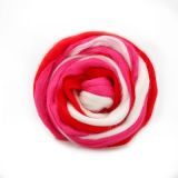 Троицкая пряжа Шерсть для валяния мультиколор